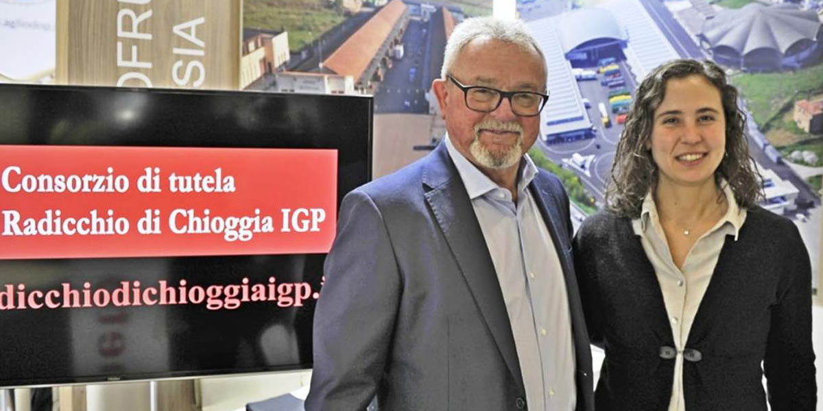 Radicchio di Chioggia Igp, Boscolo Palo riconfermato alla presidenza